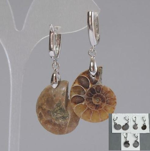 Náušnice z přírodních ammonitů 24×17×6 mm, délka cca 50 mm, různých velikostí