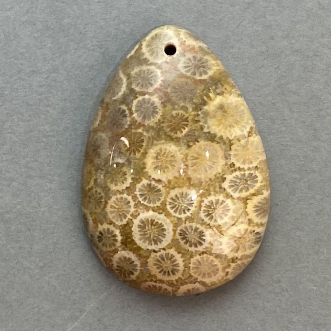Přívěšek ze zkamenělého korálu 35×23 mm+