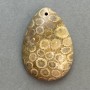 Přívěšek ze zkamenělého korálu 35×23 mm+