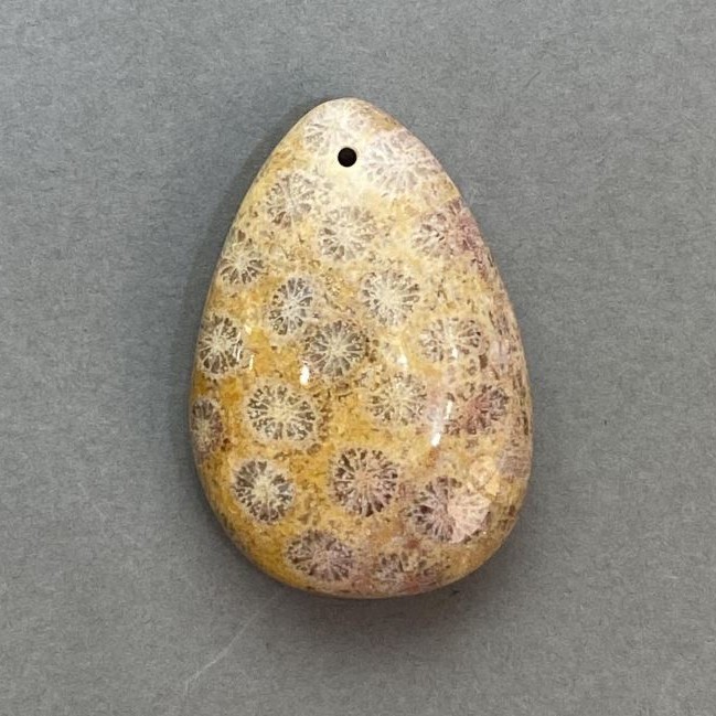 Přívěšek ze zkamenělého korálu 39×27 mm+