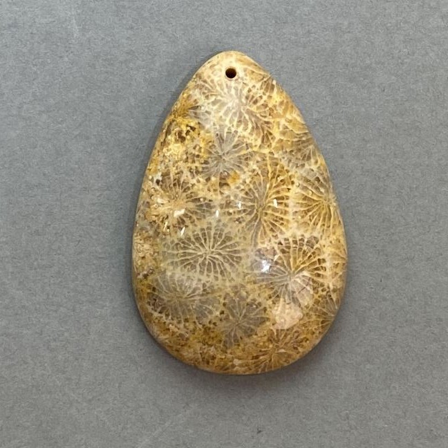 Přívěšek ze zkamenělého korálu 45×29 mm+