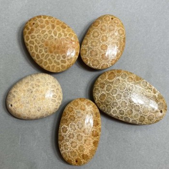 Přívěšek ze zkamenělého korálu 40–55 × 30–40 mm, různých velikostí