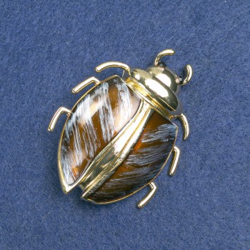 Brož Brouček se zlatistým leskem 58×24 mm +