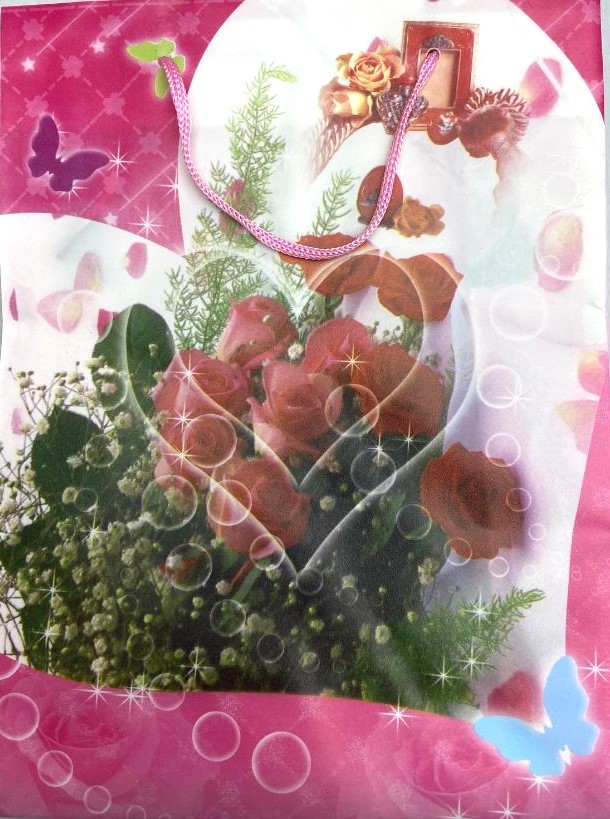 Dárkový sáček 24×18 cm (materiál PE)