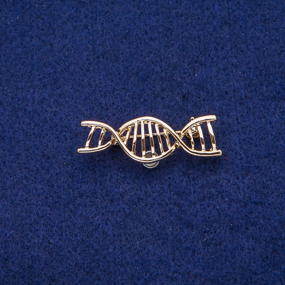 Brož «Spirála DNA» 13 × 40 mm, zlatý kov